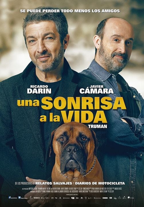 Una sonrisa a la vida : Póster