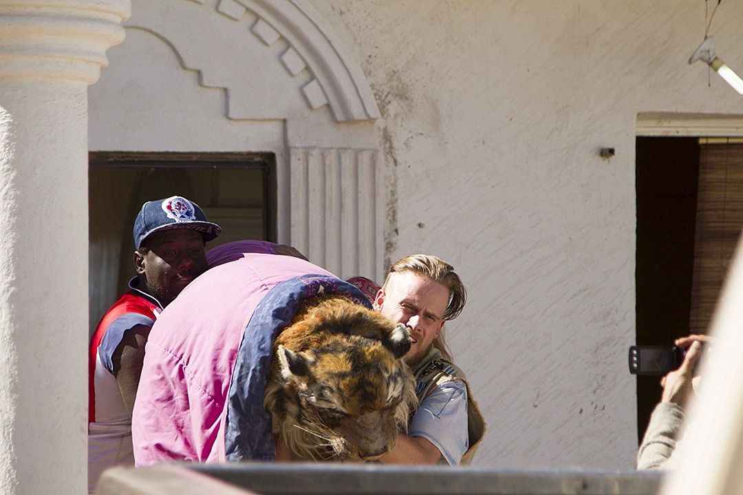 Run Coyote Run : Foto