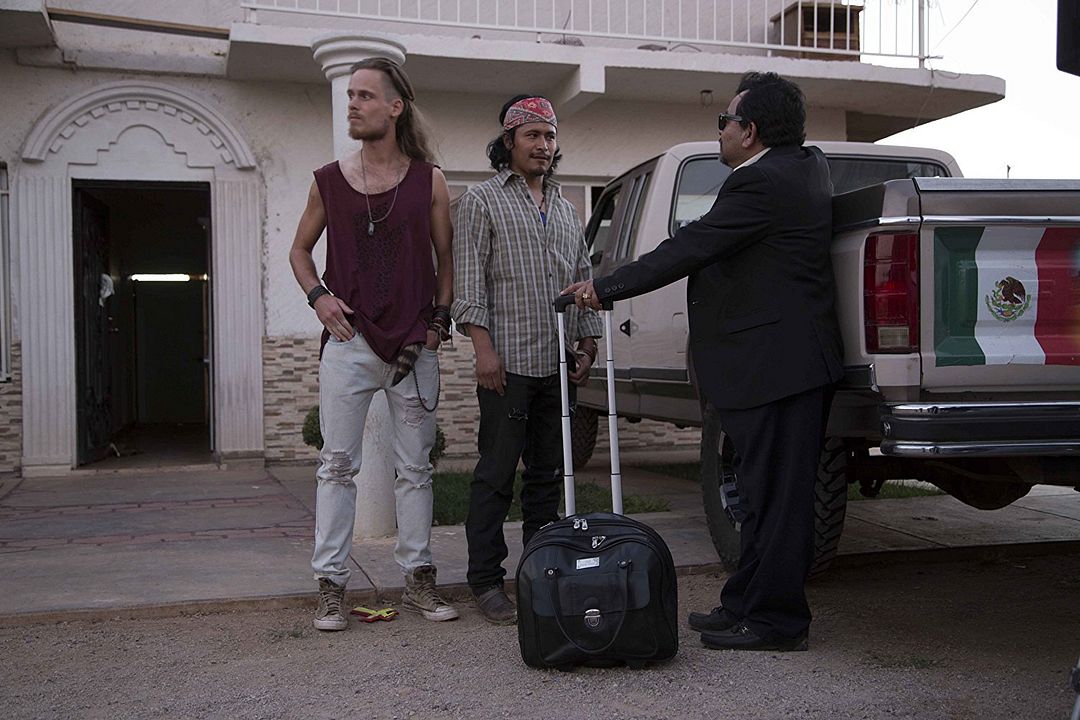 Run Coyote Run : Foto