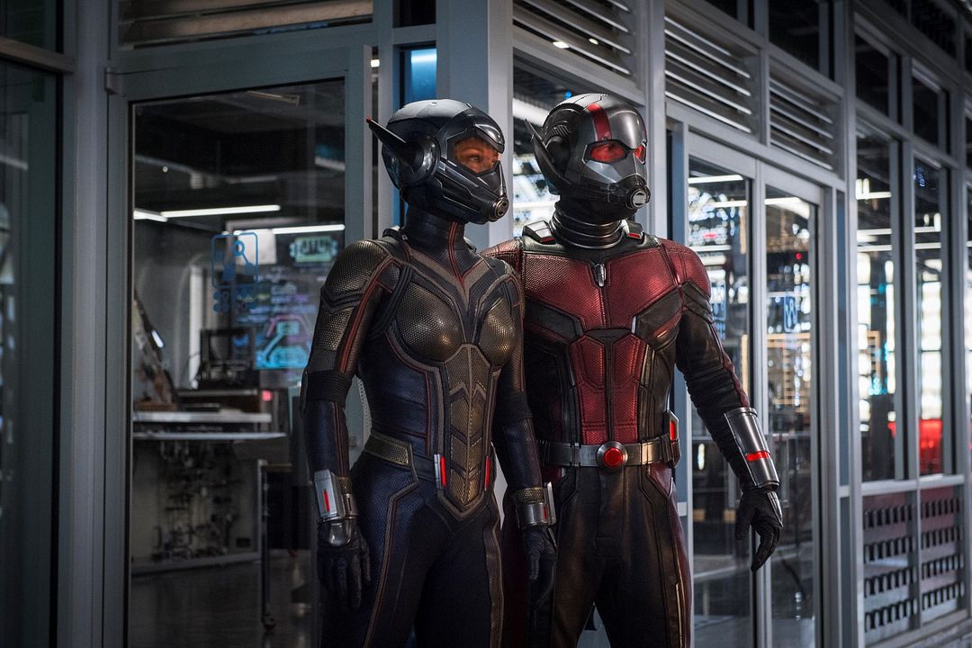 Ant-Man and the Wasp : Foto Evangeline Lilly, Paul Rudd