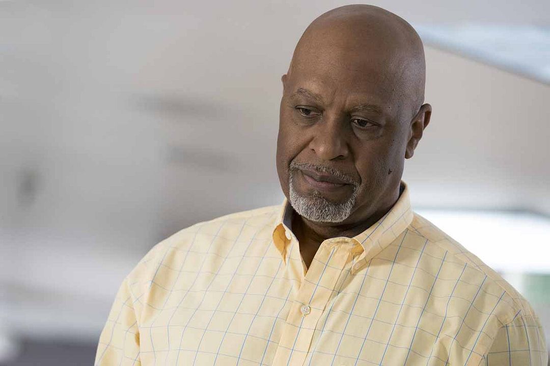Grey's Anatomy : Foto James Pickens Jr.