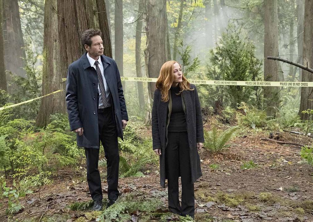 Los expedientes secretos X : Foto David Duchovny, Gillian Anderson