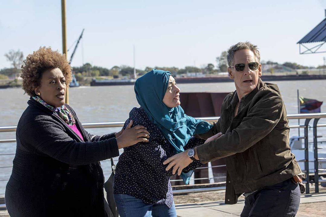 NCIS: Nueva Orleans : Foto CCH Pounder