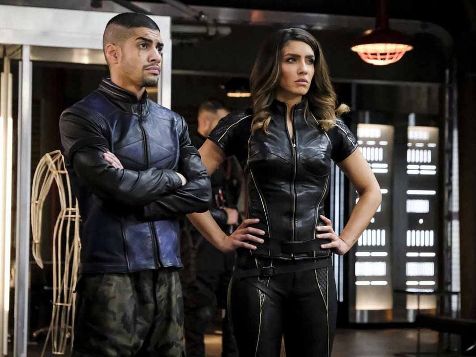 Arrow : Foto Juliana Harkavy