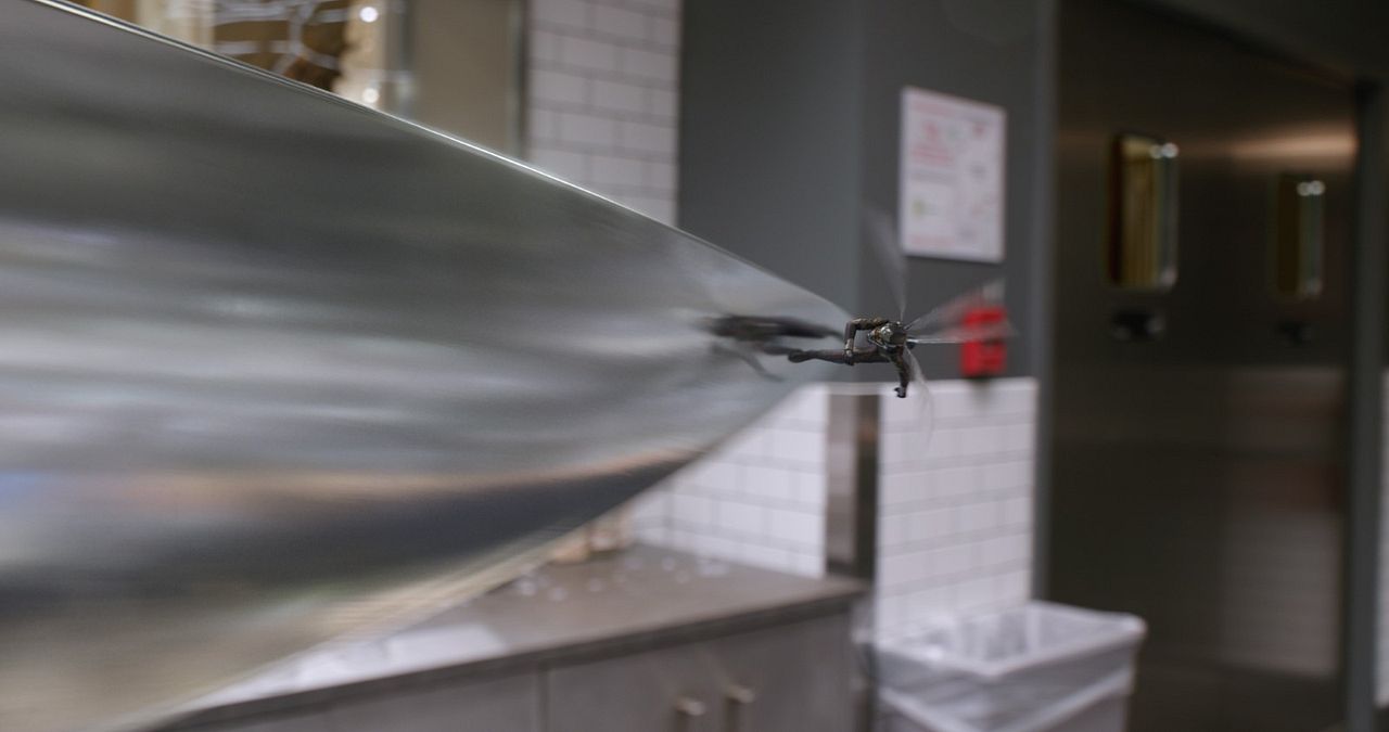 Ant-Man and the Wasp : Foto Evangeline Lilly