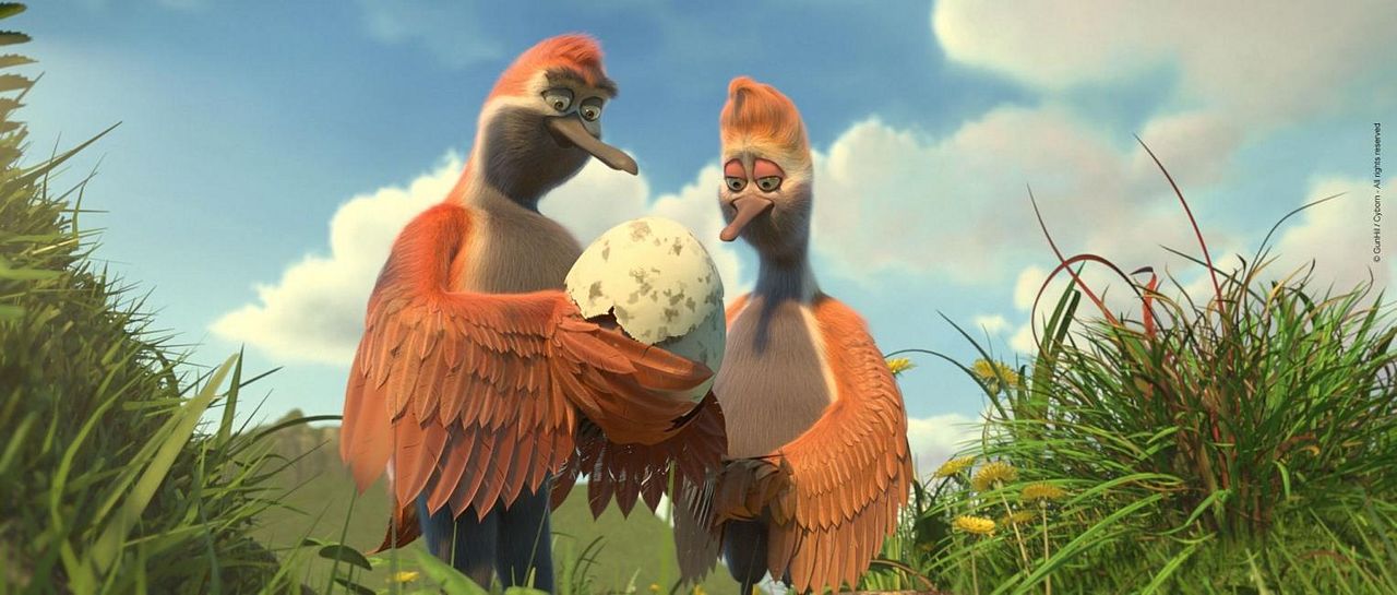 Ploey: Cabeza de chorlito : Foto