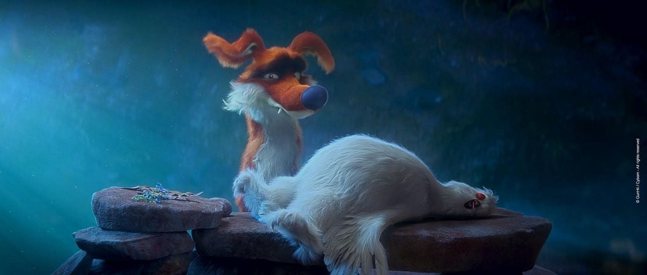 Ploey: Cabeza de chorlito : Foto