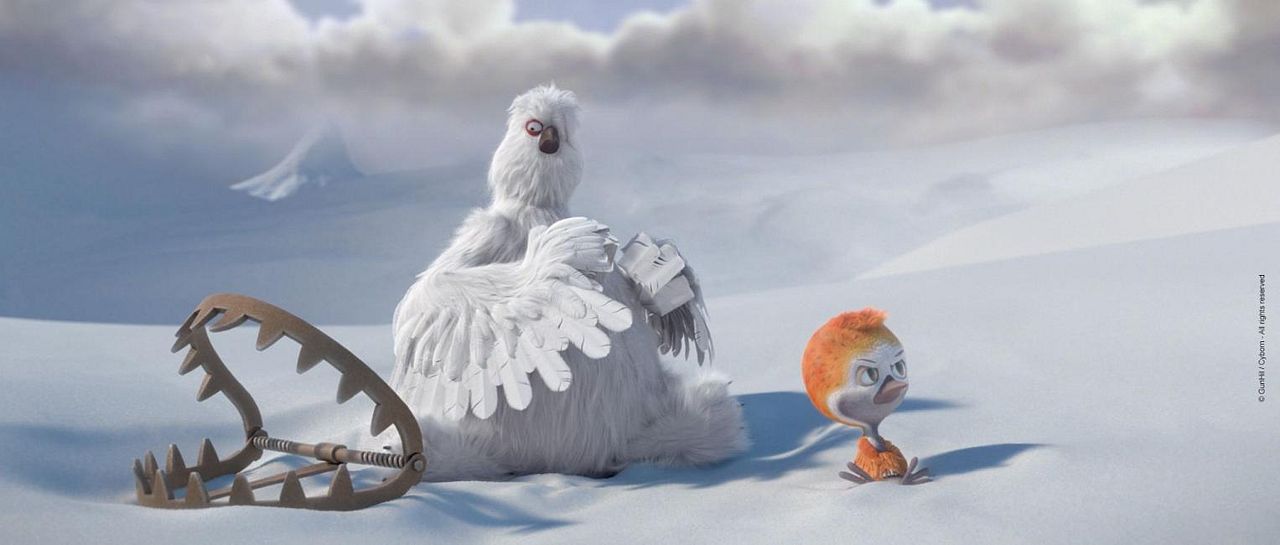 Ploey: Cabeza de chorlito : Foto