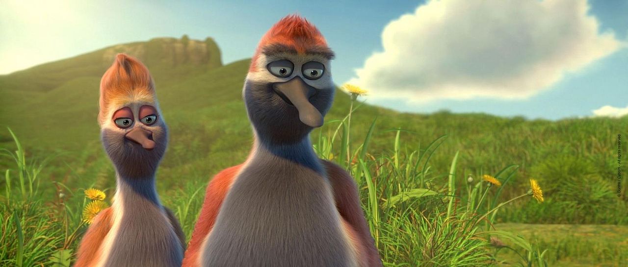 Ploey: Cabeza de chorlito : Foto