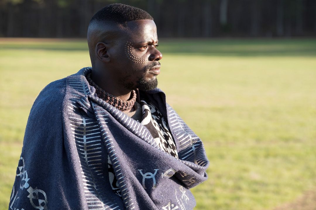 Pantera Negra : Foto Daniel Kaluuya