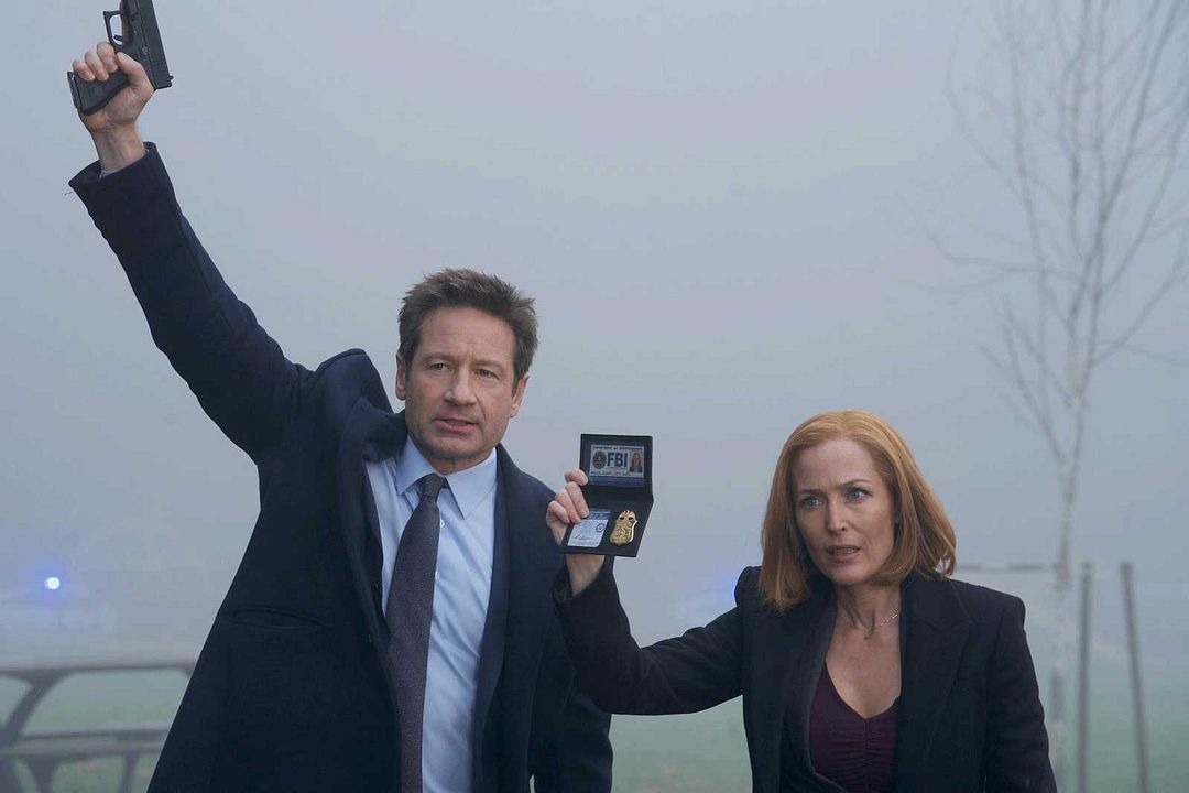Los expedientes secretos X : Foto Gillian Anderson, David Duchovny