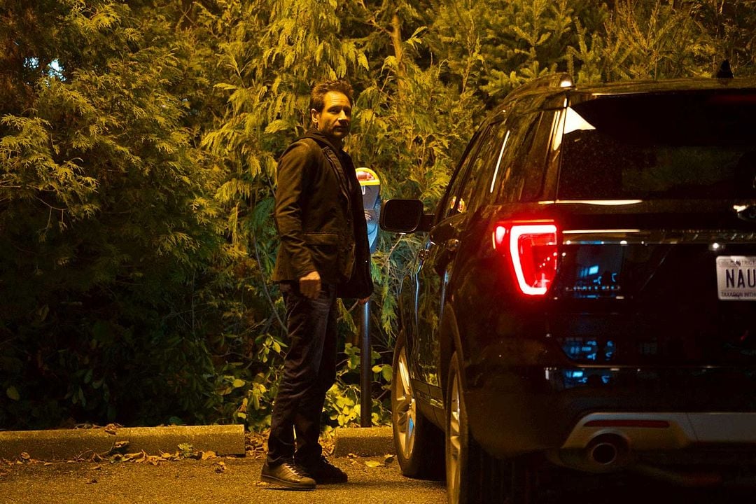 Los expedientes secretos X : Foto David Duchovny