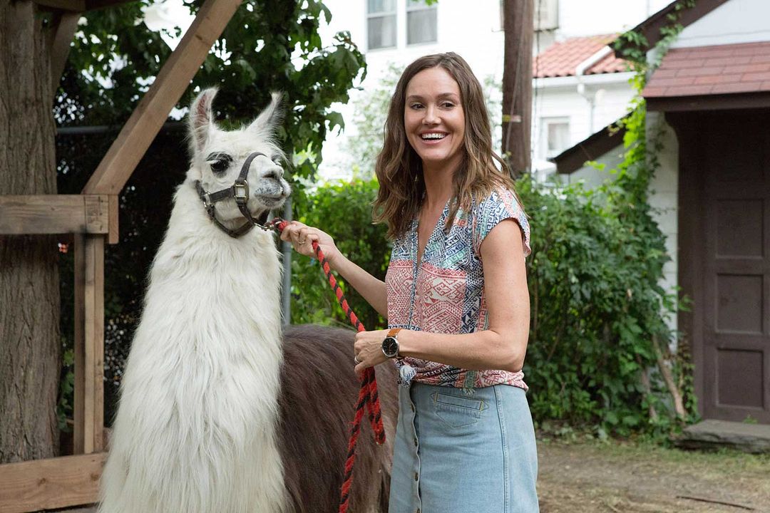 The Dangerous Book for Boys : Foto Erinn Hayes