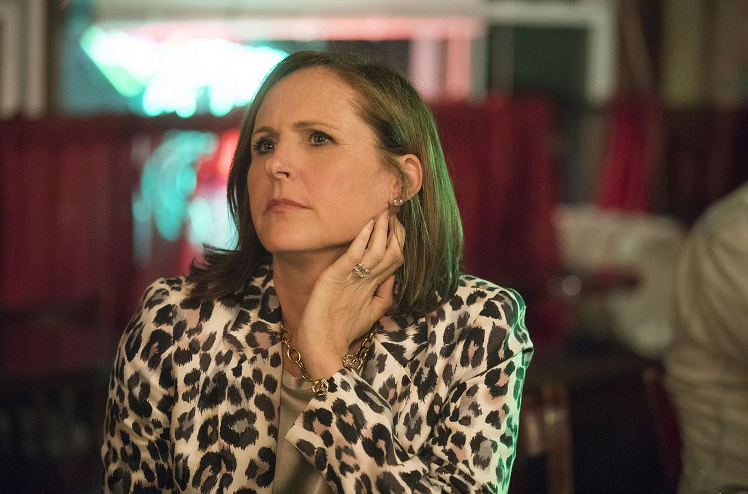Divorce : Foto Molly Shannon