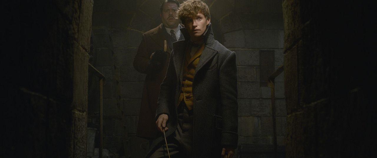 Animales fantásticos: Los crímenes de Grindelwald : Foto Dan Fogler, Eddie Redmayne