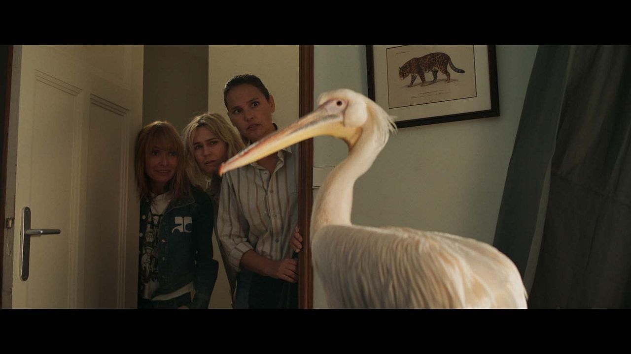 MILF : Foto Marie-Josée Croze