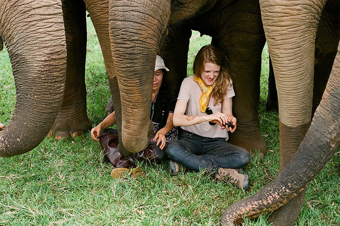 Love & Bananas: An Elephant Story : Foto