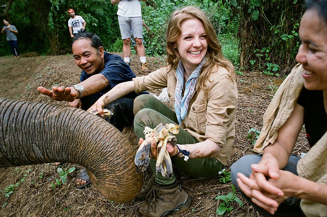 Love & Bananas: An Elephant Story : Foto