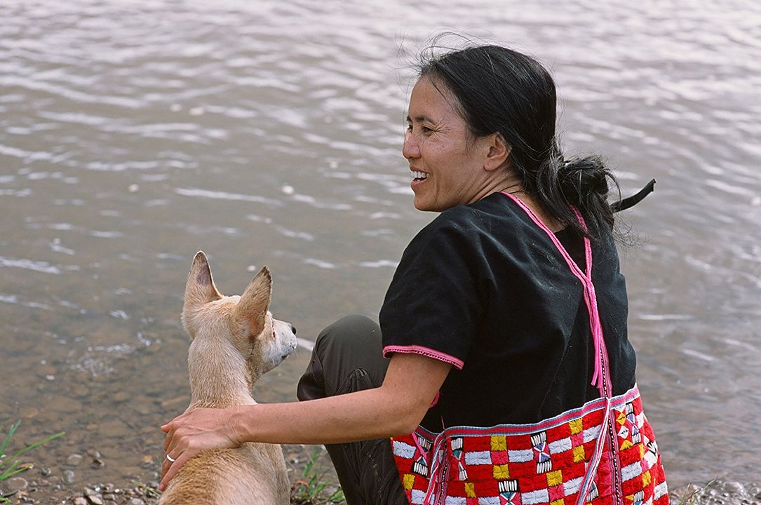 Love & Bananas: An Elephant Story : Foto