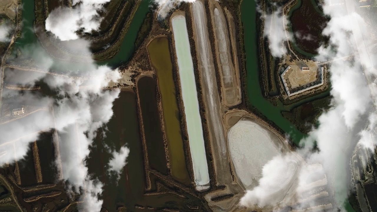 Camarón: Flamenco y revolución : Foto