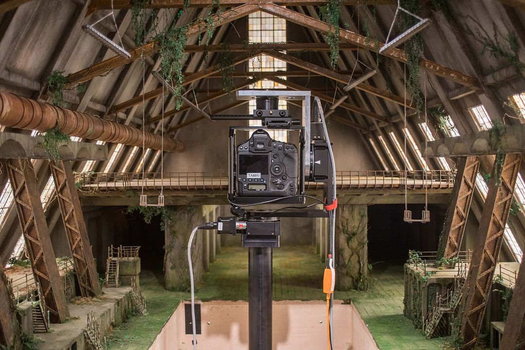 Isla de perros : Foto