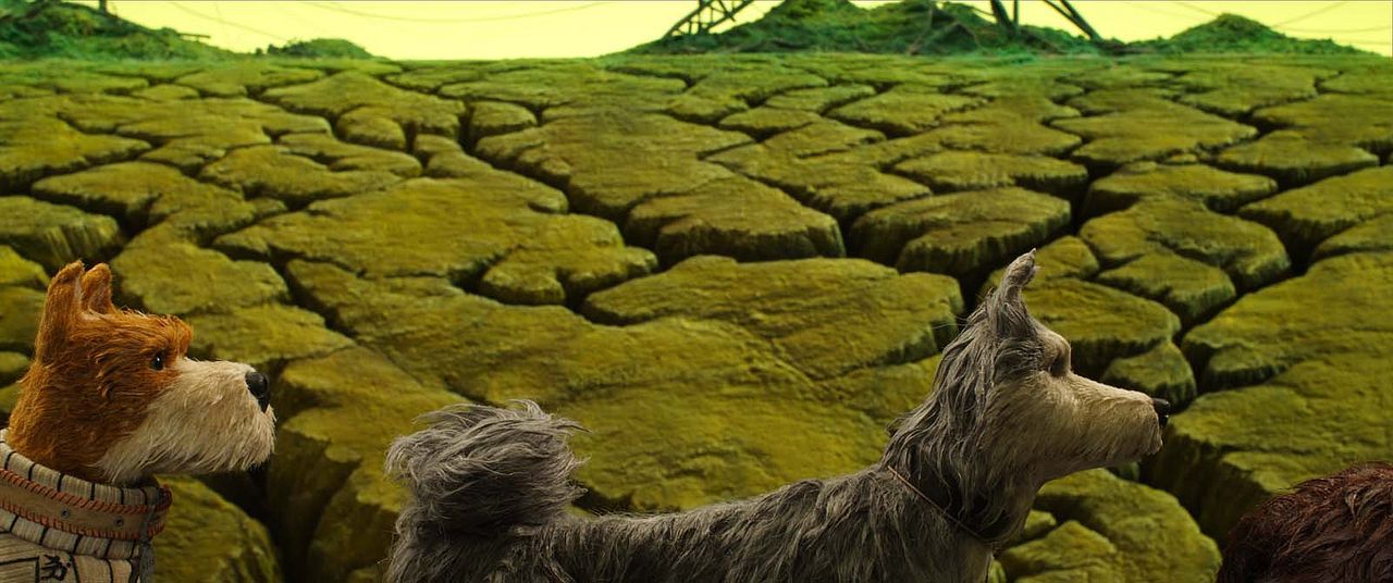 Isla de perros : Foto