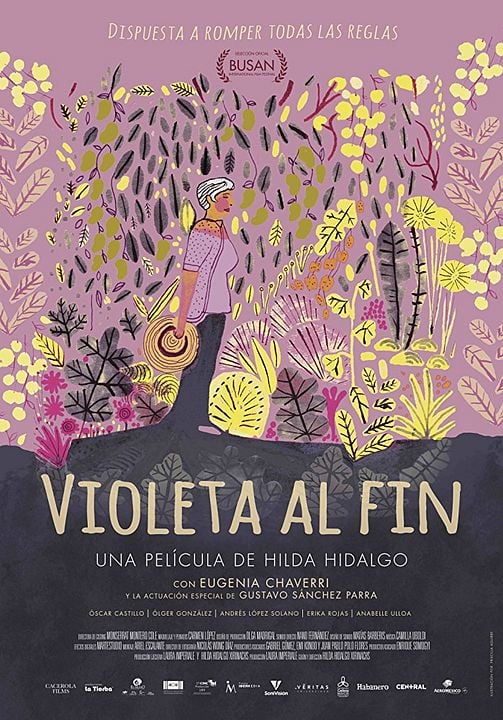 Violeta al Fin : Póster