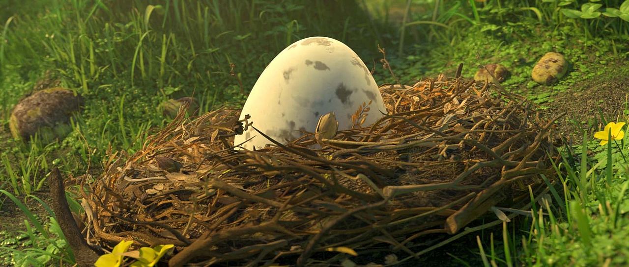 Ploey: Cabeza de chorlito : Foto