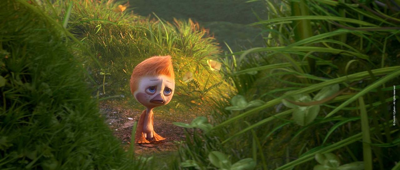 Ploey: Cabeza de chorlito : Foto