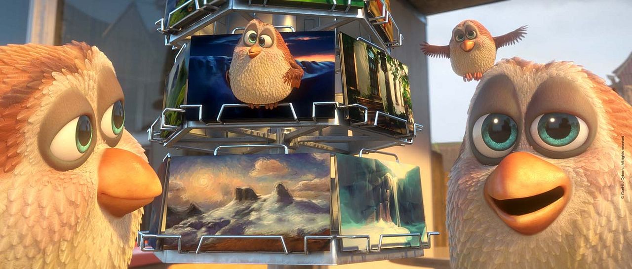 Ploey: Cabeza de chorlito : Foto