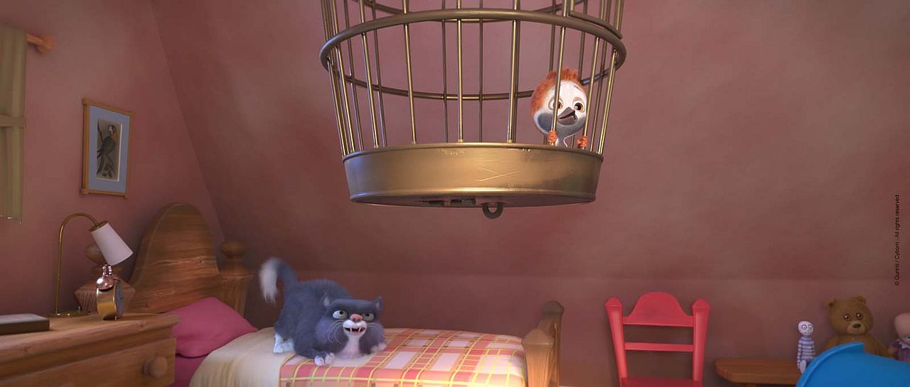 Ploey: Cabeza de chorlito : Foto