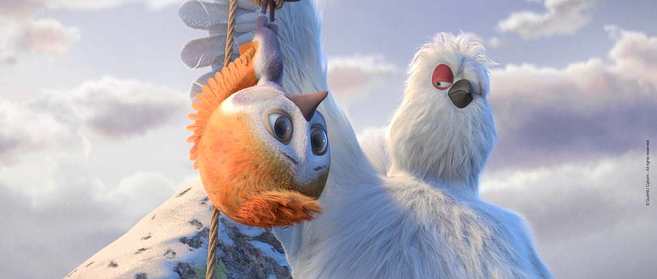 Ploey: Cabeza de chorlito : Foto