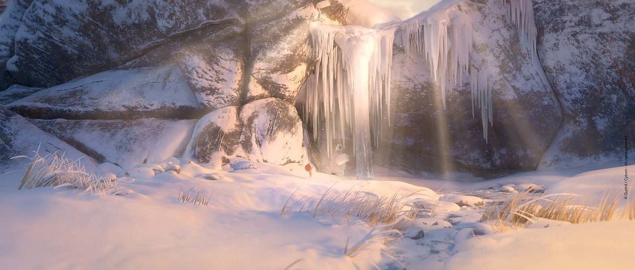 Ploey: Cabeza de chorlito : Foto