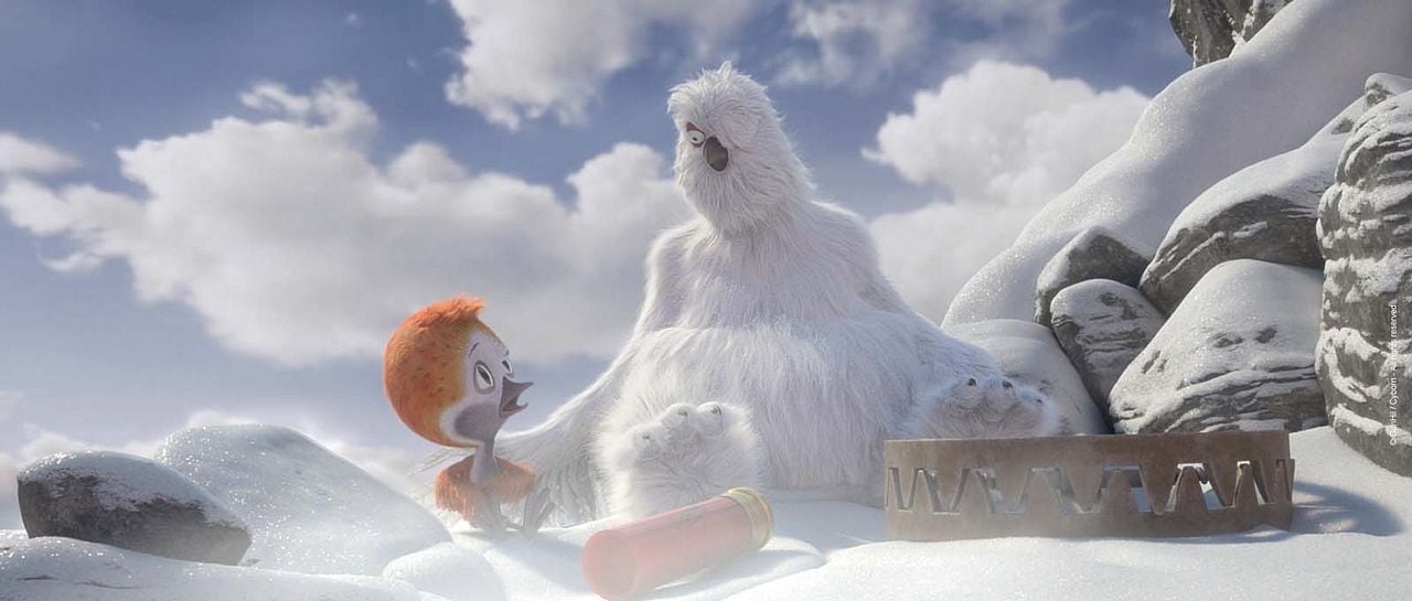 Ploey: Cabeza de chorlito : Foto