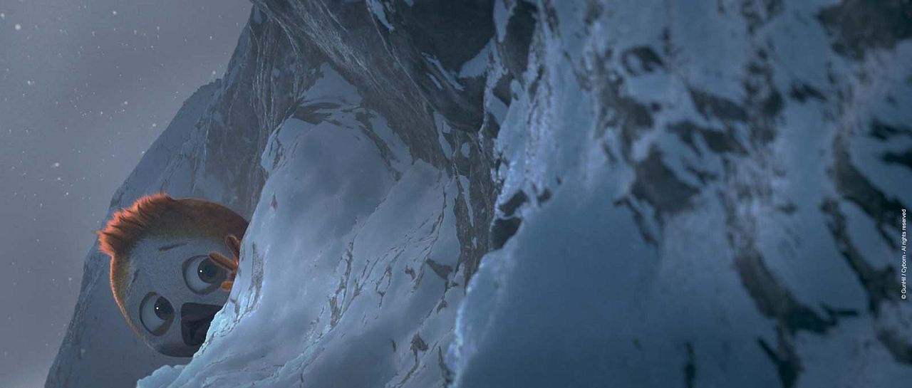 Ploey: Cabeza de chorlito : Foto