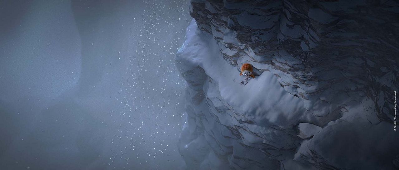 Ploey: Cabeza de chorlito : Foto