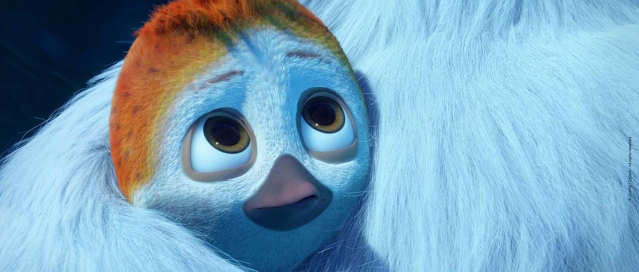 Ploey: Cabeza de chorlito : Foto