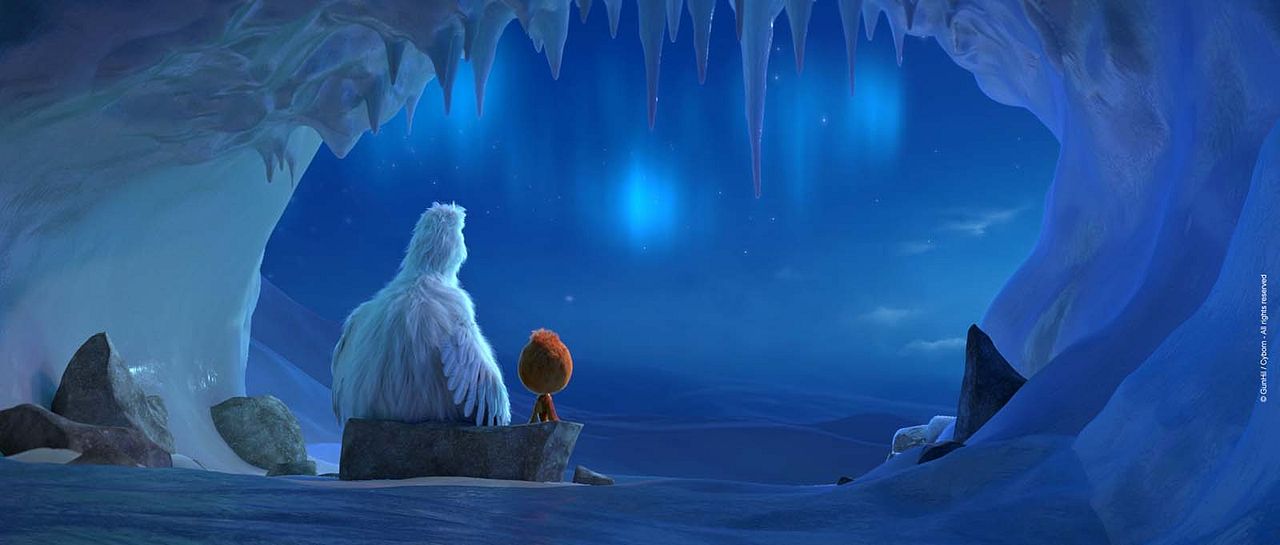 Ploey: Cabeza de chorlito : Foto