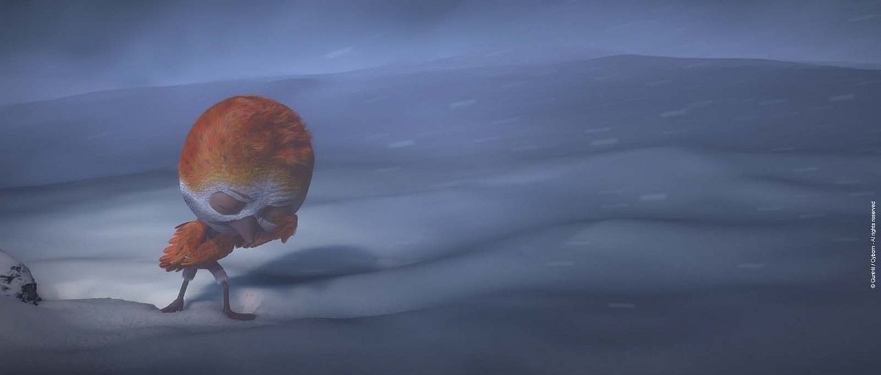 Ploey: Cabeza de chorlito : Foto