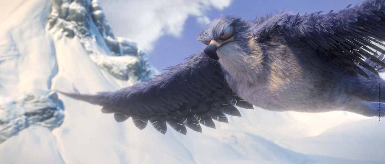 Ploey: Cabeza de chorlito : Foto