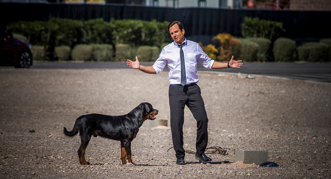 Show Dogs : Foto Will Arnett
