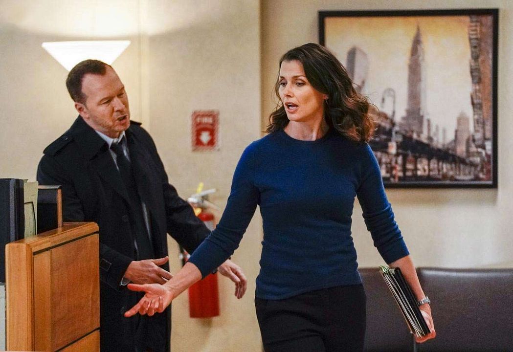 Blue Bloods : Foto Bridget Moynahan