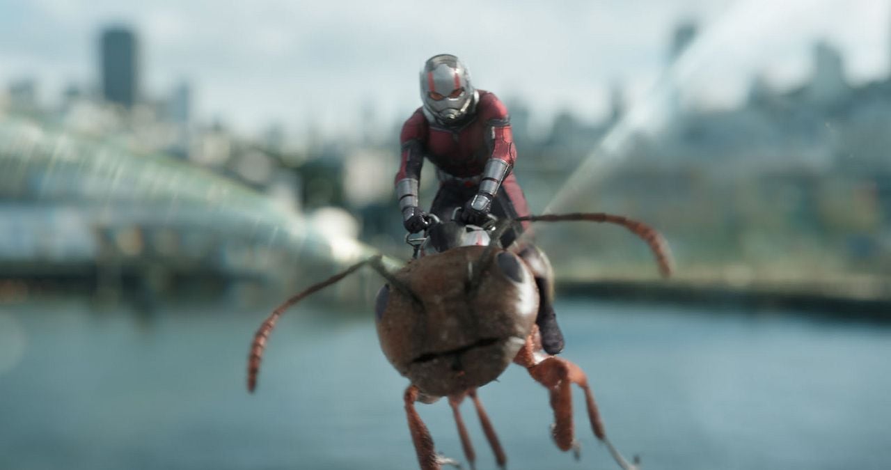Ant-Man and the Wasp : Foto Paul Rudd