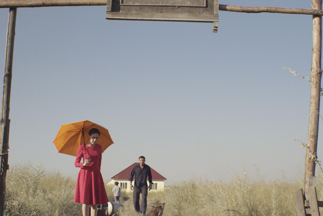 The Gentle Indifference of the World : Foto