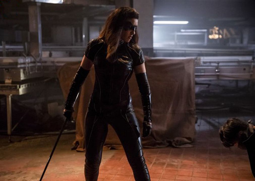 Arrow : Foto Juliana Harkavy