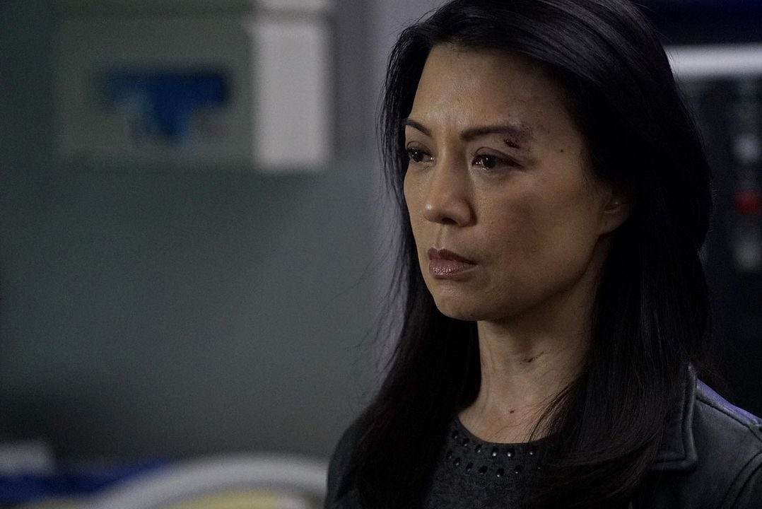 Agentes de S.H.I.E.L.D. : Foto Ming-Na Wen