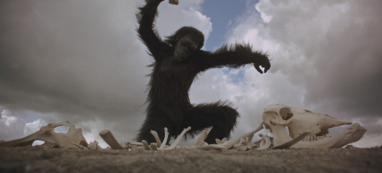 2001: Una odisea del espacio : Foto