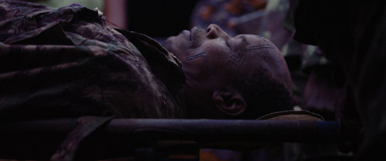 Comboio de Sal e Açúcar : Foto