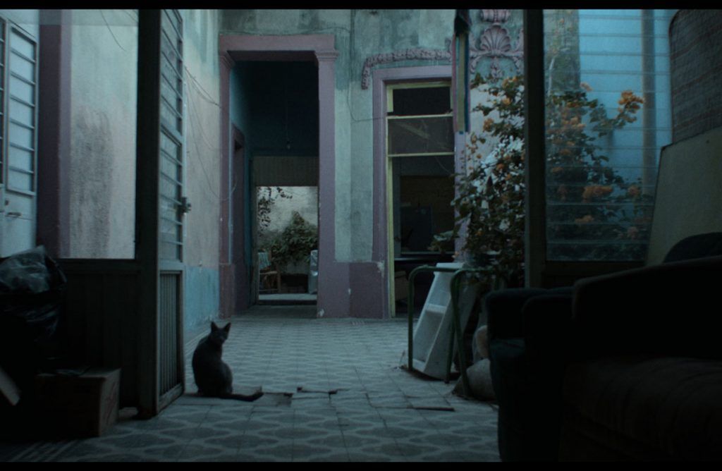 Los años azules : Foto