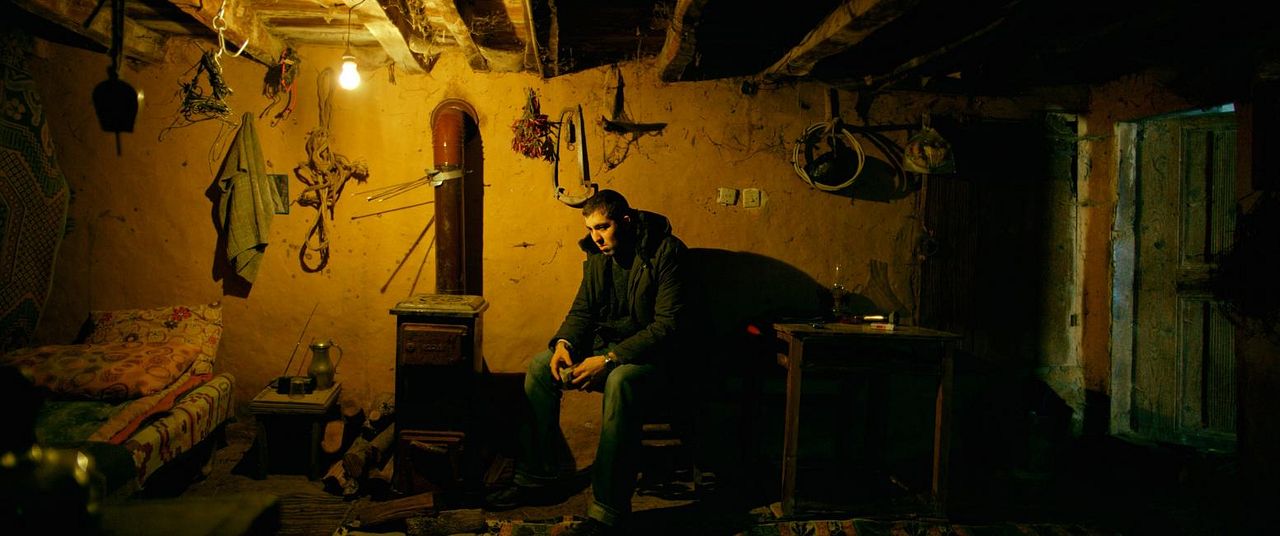 El peral silvestre : Foto